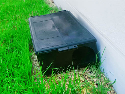 black mouse trap on grass against a white wall