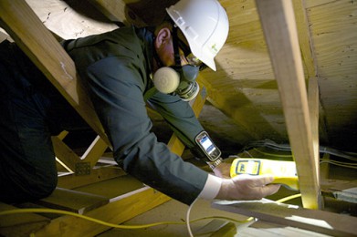 a safer home services technician checking attic for termites