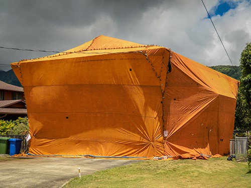 Termite Fumigation Tent