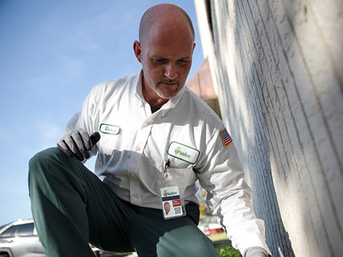 safer homes services employee inspecting outside perimeter of a home for pest infestation symptoms