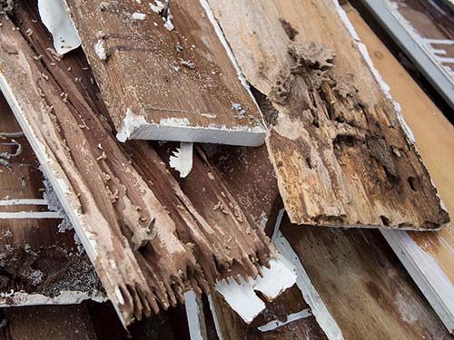 damaged wooden slats on the side of a roof