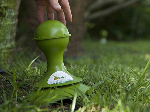 a safer home services branded ant bait device being placed in the grass