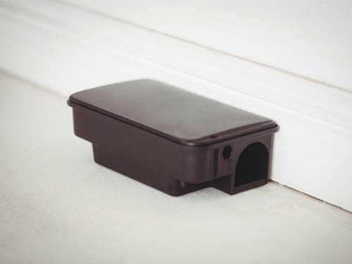 A black mouse trap on floor against white wall